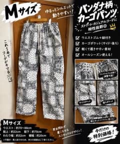 ペイズリー柄 カーゴパンツ Mサイズのサムネイル