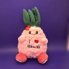 ハワイ hawaii お土産 ぬいぐるみ パイナップル - メルカリ