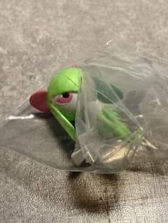 ポケモンセンター 座るポケモン2 キルリアのサムネイル