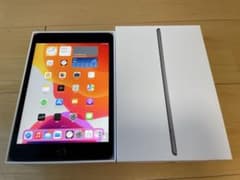 Apple iPad mini 5 Wi-Fi256GB スペースグレイのサムネイル