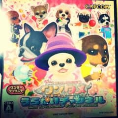ワンタメ DS カセットのサムネイル