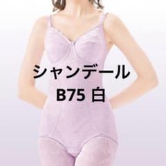 シャンデール　ボディスーツD85 ボディスーツ（ロング） | 補整下着メーカー 株式会社シャンデール