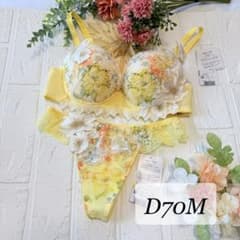 新品】wacoal サルート 01 ブラ ソングセット D70M YE - メルカリ