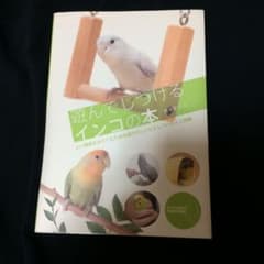 遊んでしつけるインコの本 : よい関係をはぐくむための遊びのレシピとしつけのミ…のサムネイル