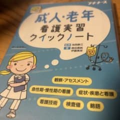 成人・老年看護実習クイックノートのサムネイル