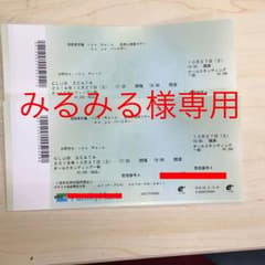 みるみる様専用 the Raid. チケットのサムネイル