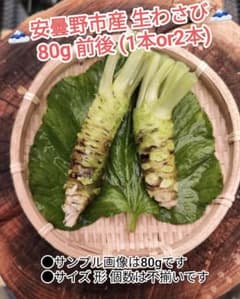 安曇野産 800g前後 150g帯 5本 信州 本生わさび あづみ野 安曇野産 80g前後 信州 安曇野 本わさび 生ワサビ あづみ野 山葵 沢