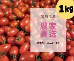 宮崎県産　ミニトマト　1キロ　訳ありのサムネイル
