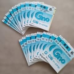 Gnoble G脳ワークアウト 算数 6年 計20冊（内2冊はおまけ） - メルカリ