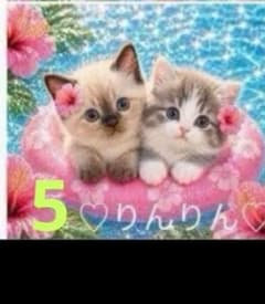 ★オーダーページ★ハンカチ　鏡　ネコちゃん柄　ブルー5/24　りんりん様パネル オーダーページ ハンカチ 浮輪ねこちゃん柄 ハンドメイド 5/15 - メルカリ