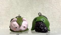 もちばけ　よもぎ　さくらのサムネイル