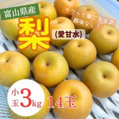 富山県産 梨(愛甘水) 小玉　3kg(14玉)のサムネイル