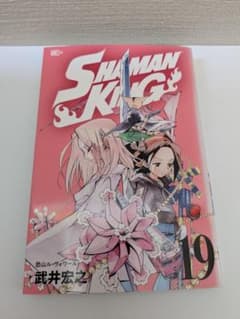 SHAMAN KING 샤먼킹 제19권 [초판]