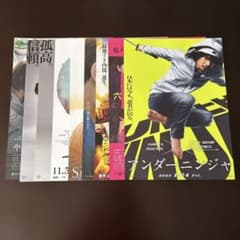 하마베 미나미 플라이어