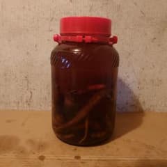 奈良県吉野山系吉野で採取りした天然物ツルニンジン酒5L入り - メルカリ