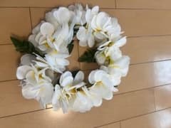 フラダンス花冠のサムネイル