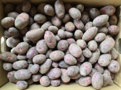 長崎県産超小粒デストロイヤーじゃがいも10㎏ - メルカリ