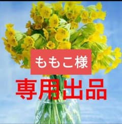 ももこ様専用　41シートのサムネイル