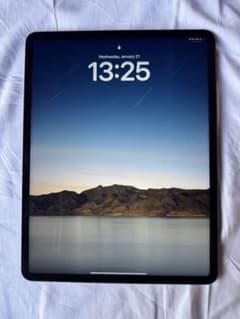iPad Pro 12.9インチ (第5世代) ApplePencil2付属のサムネイル