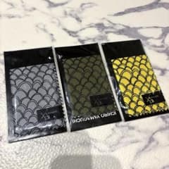 サカナクション サンテFX クロスクリーナー 目薬ポーチ グリーン