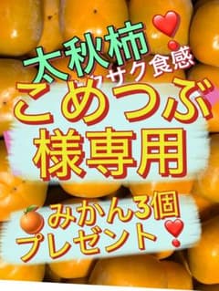 新鮮 太秋柿 ＋みかん３個で5kgのサムネイル