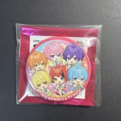 集合 すとふぇす 2026 SD すにすて 缶バッジ 27点 m64275872405_1.jpg?1770191551