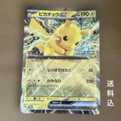 JR東日本 ポケモンスタンプラリー2025 ピカチュウex ジャンボカード