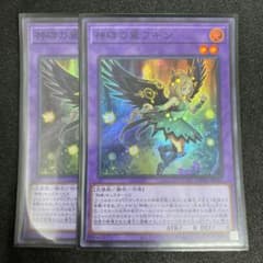 神碑の翼 フギン 2枚セットのサムネイル