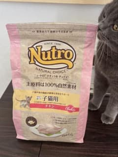 【新品】ニュートロ ナチュラルチョイス子猫用のサムネイル