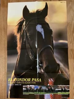 エルコンドルパサー ポスター サラブレ 競馬 El Condor Pasa