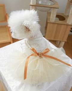 犬用フリルドレス Sサイズのサムネイル