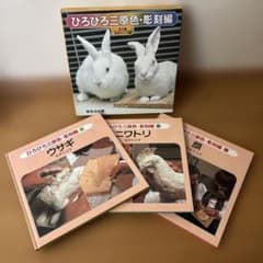ひろびろ三原色・彫刻編 全3巻 定価5100円 ほるぷ出版 - メルカリ