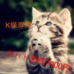 K様専用部屋のサムネイル