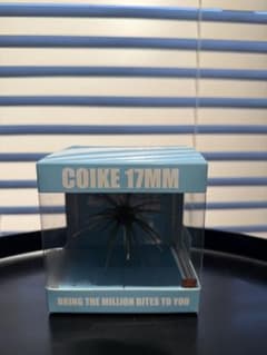 コイケ　COIKE 17mmのサムネイル