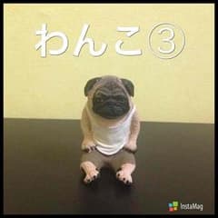 わんこフィギュア＊送料込のサムネイル