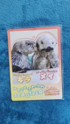 鳥羽水族館 コレクションカード カード ラッコ 【キラ メイ】 - メルカリ