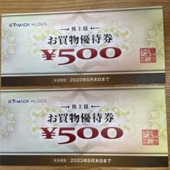 ヤマダ電気　株主優待のサムネイル