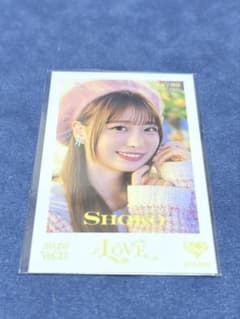 瀧脇笙古 ミニフォト Vol.11 木漏れ日メゾフォルテのサムネイル