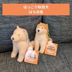 ほっこり秋田犬 はち兵衛 2つセット - メルカリ