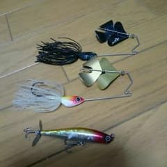 エバーグリーンセット お買い得のサムネイル