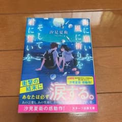 海に願いを 風に祈りを そして君に誓いをのサムネイル