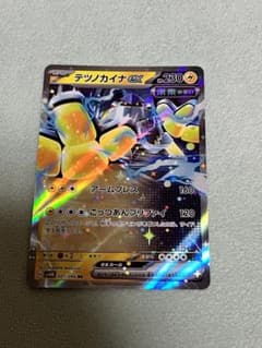 テツノカイナRR 即購入○のサムネイル