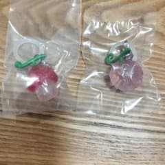 ワンピース めじるしアクセサリーハナハナの実＆ヒトヒトの実 2点セットのサムネイル