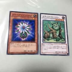アゲハ様専用のサムネイル
