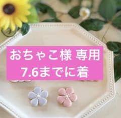 おちゃこ様　アイシングクッキー　オーダーのサムネイル