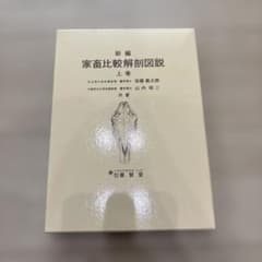 新編家畜比較解剖図説 上巻 - メルカリ