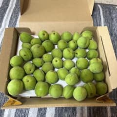 青梅　豊後　長野県産　1kgのサムネイル