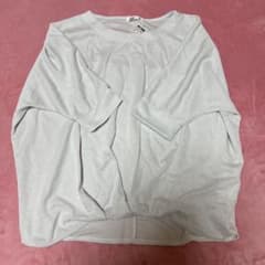 ルディックパーク　ラメ入り ドルマン 半袖 Tシャツ 3L 4Lのサムネイル