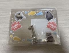 カプくじ 鳥羽水族館 ラッコのメイちゃんくじ 手形付きフォトフレーム