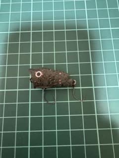 591 Displute Sparow 선물 지역 송어 관리 낚시터
